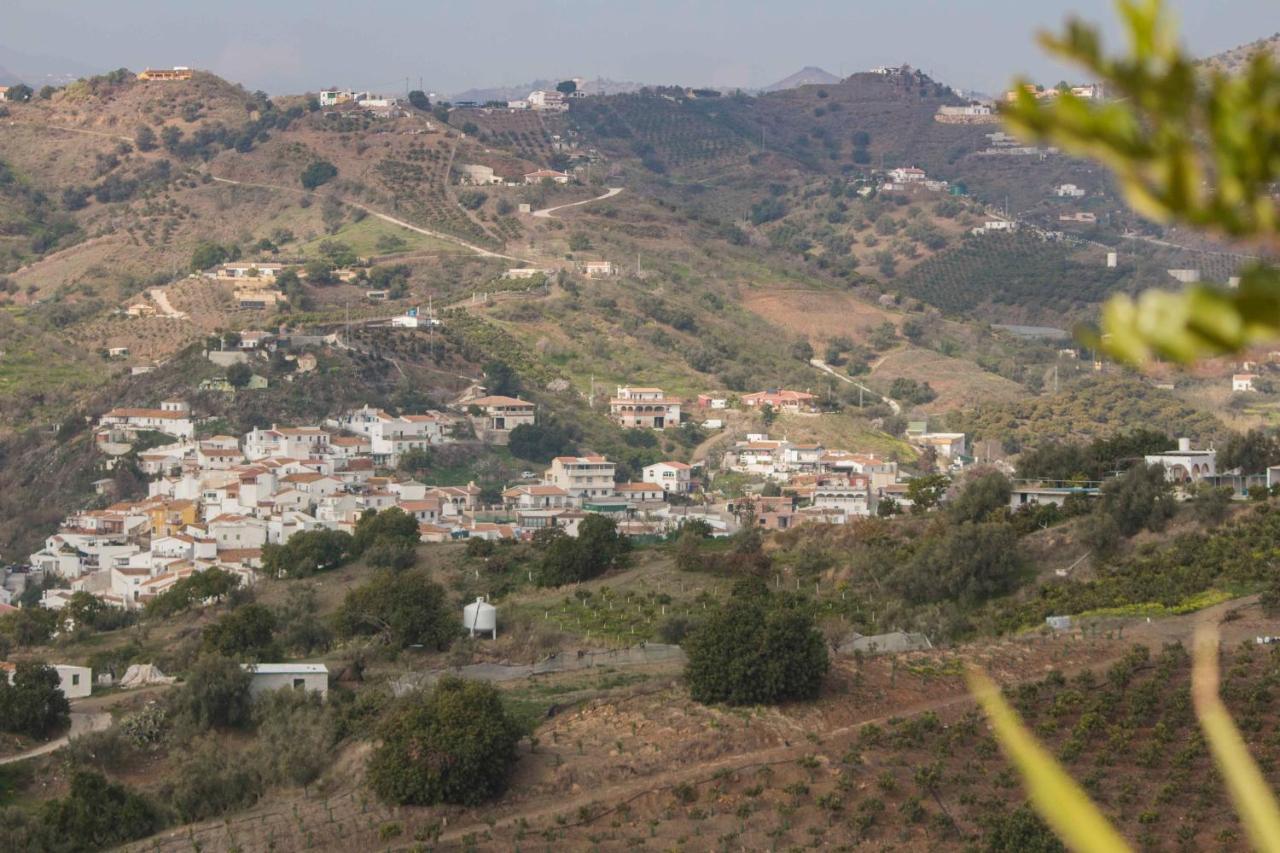 Finca La Vida Tranquila Velez Malaga Exteriör bild