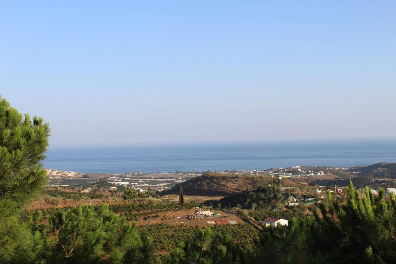 Finca La Vida Tranquila Velez Malaga Exteriör bild