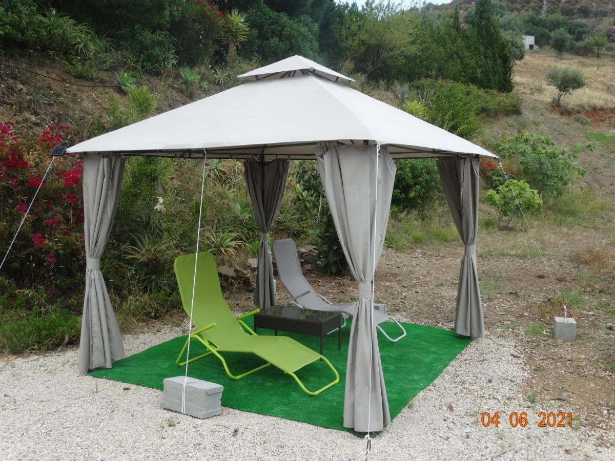 Finca La Vida Tranquila Velez Malaga Exteriör bild